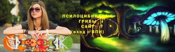 прущая мука Вязники